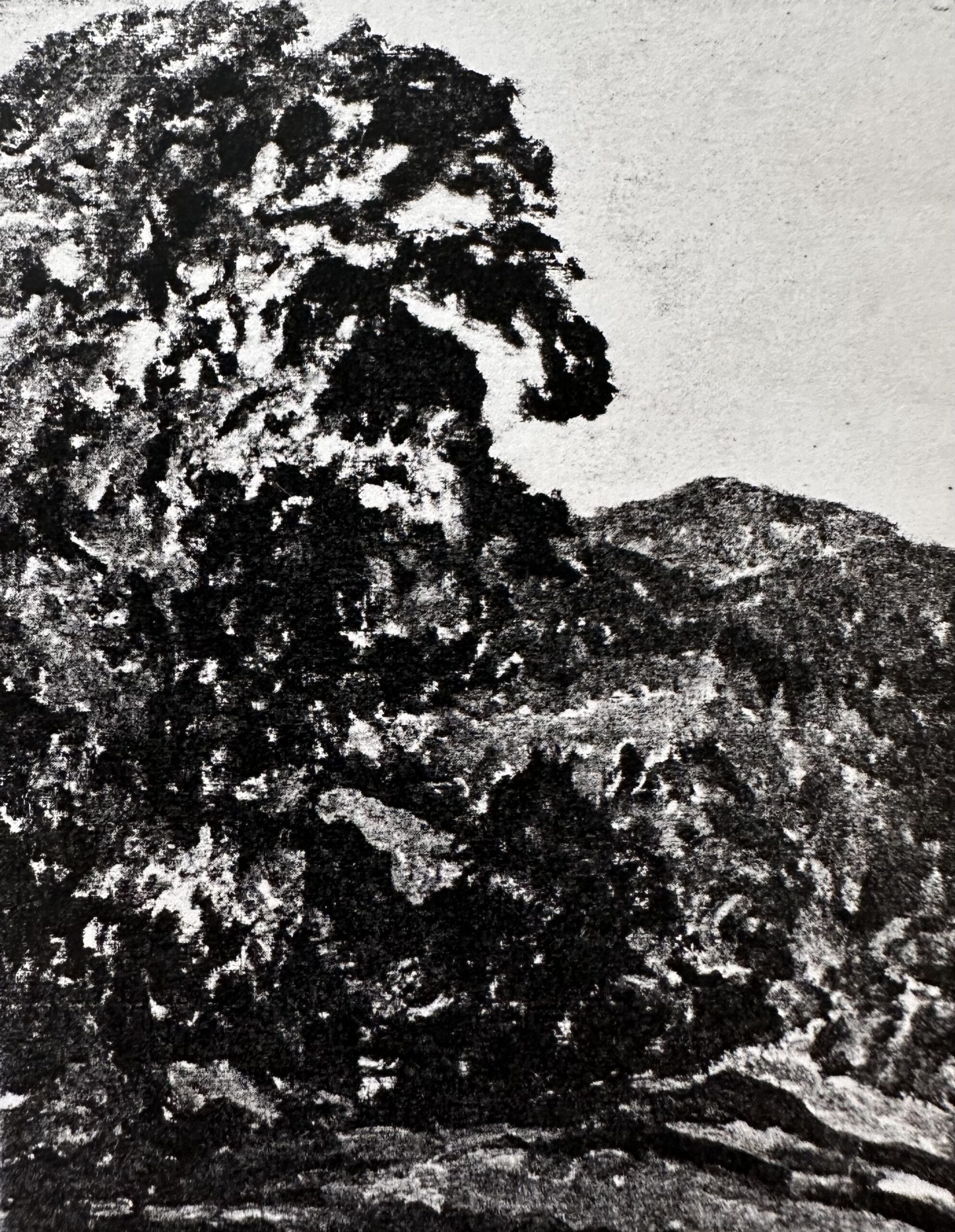Max Clarenbach