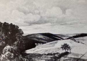 Max Clarenbach