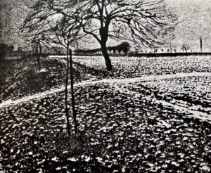 Max Clarenbach